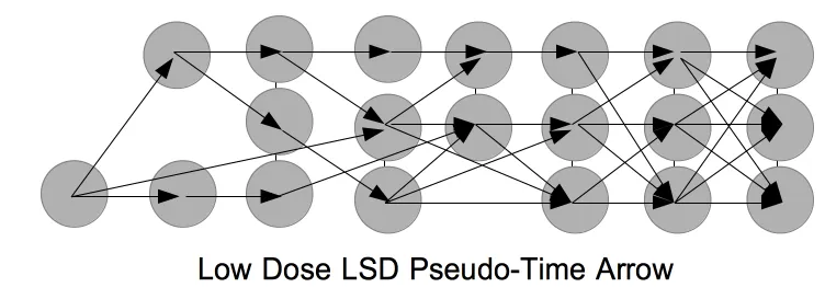 low dose lsd pseudo time arrow